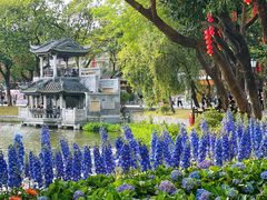 -荔湾湖公园