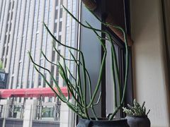-瓦库茶馆17号(海汇港店)