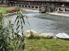 -温江公园