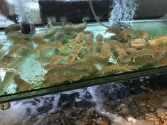 -青竹园海鲜餐厅(海天路店)