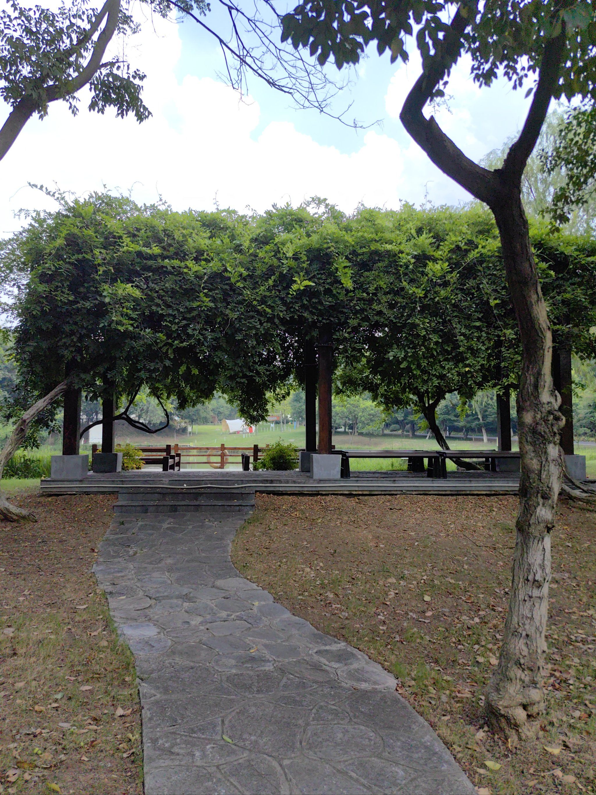 0元玩转这座城#城市公园聚宝山公园里的