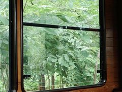 -合肥滨湖国家森林公园