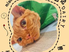 -荔康动物医院(康王北路店)