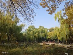 -玲珑塔公园