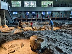 -自贡恐龙博物馆