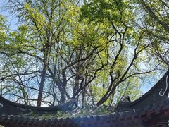 -郑和公园