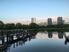 -群力丁香公园