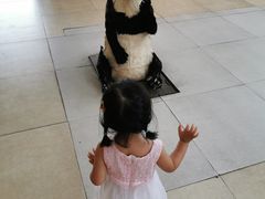 -北京鹿世界主题园