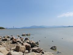 -深圳湾公园(南山区)