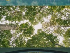 -重庆彩云湖湿地公园