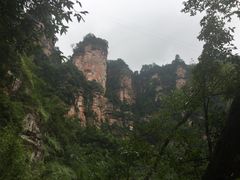 -赤水丹霞旅游区·佛光岩