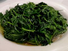 -丰收日(五角场店)