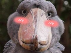 -蜜雪冰城(大润发店)