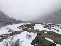 -黄龙山原始森林景区
