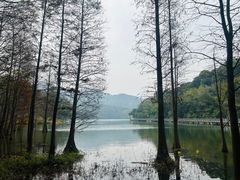 -广州市白云山风景名胜区