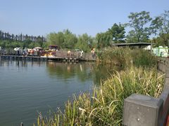 -上海长兴岛郊野公园