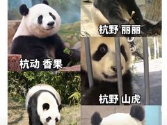 -杭州野生动物世界