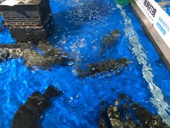 -盒马鲜生(莱蒙都会店)
