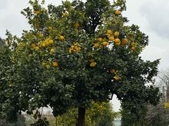 -浙江大学(紫金港校区)