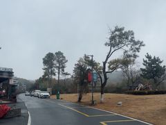 -句容茅山景区