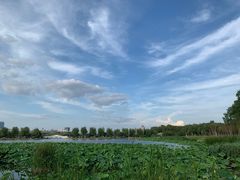 -长春市南湖公园