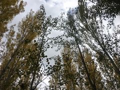 -赛汗塔拉风情园