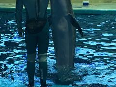 -福州罗源湾海洋世界旅游区