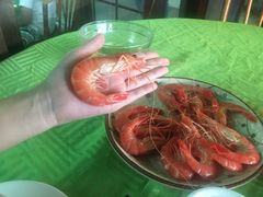 白灼九节虾-盛港湾海鲜食府(黄沙店)
