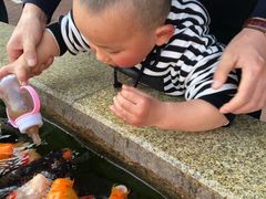 -国色天乡三期陆地乐园