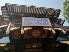 -乐山乌木文化博览苑