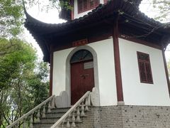 -上海佘山国家森林公园天马山园