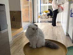 -拜鲁耶动物诊疗中心·宠家动物医院