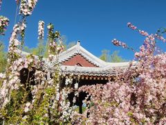 -元大都城垣遗址公园