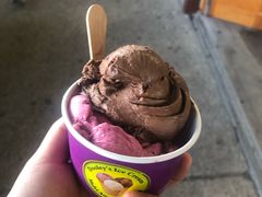 -Dooley's Premium Ice Cream