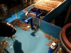 -星伦多 自助料理(圆融店)