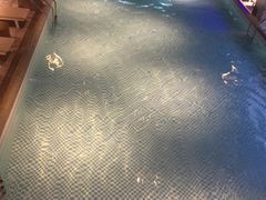 -巴斯漫温泉汗蒸馆(贡湖大道店)