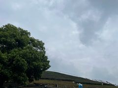 -听风阁农家私房菜茶楼(龙坞店)