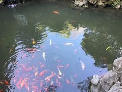 -君来梁溪饭店-餐厅