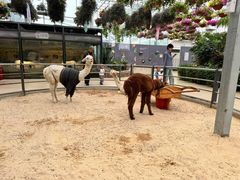 -洛阳龙门海洋馆