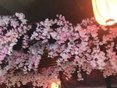 -石葵(锦业时代店)