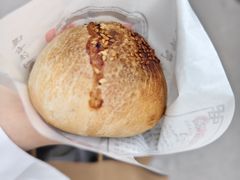 -百年夯碳烤胡椒饼(阿拉城店)