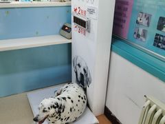-北京观赏动物医院·24小时大型综合·猫专科·异宠专科