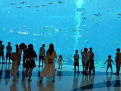 -亚特兰蒂斯•OSSIANO奥西亚诺海底餐厅