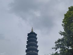 -重庆园博园