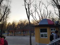 -朝阳公园游乐园