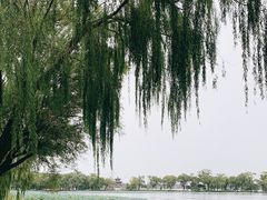 -颐和园