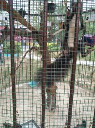 -萌宠亲子动物乐园(槐房万达店)