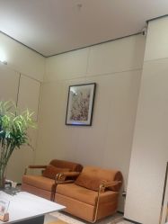 -娇莉芙美颜SPA连锁