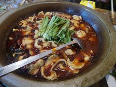 -都江堰石锅鱼