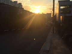 -莲洞本家